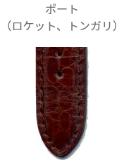 ポート（ロケット、トンガリ）